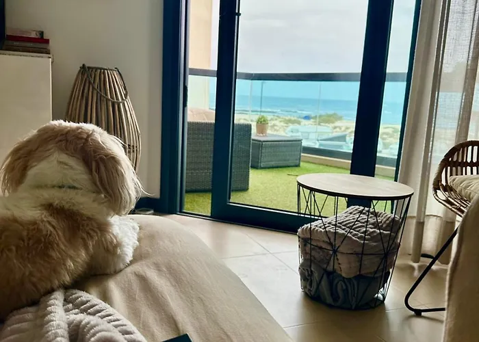 Apartamento Villa Bruno Con Vistas Al Mar, Primera Linea De Playa
