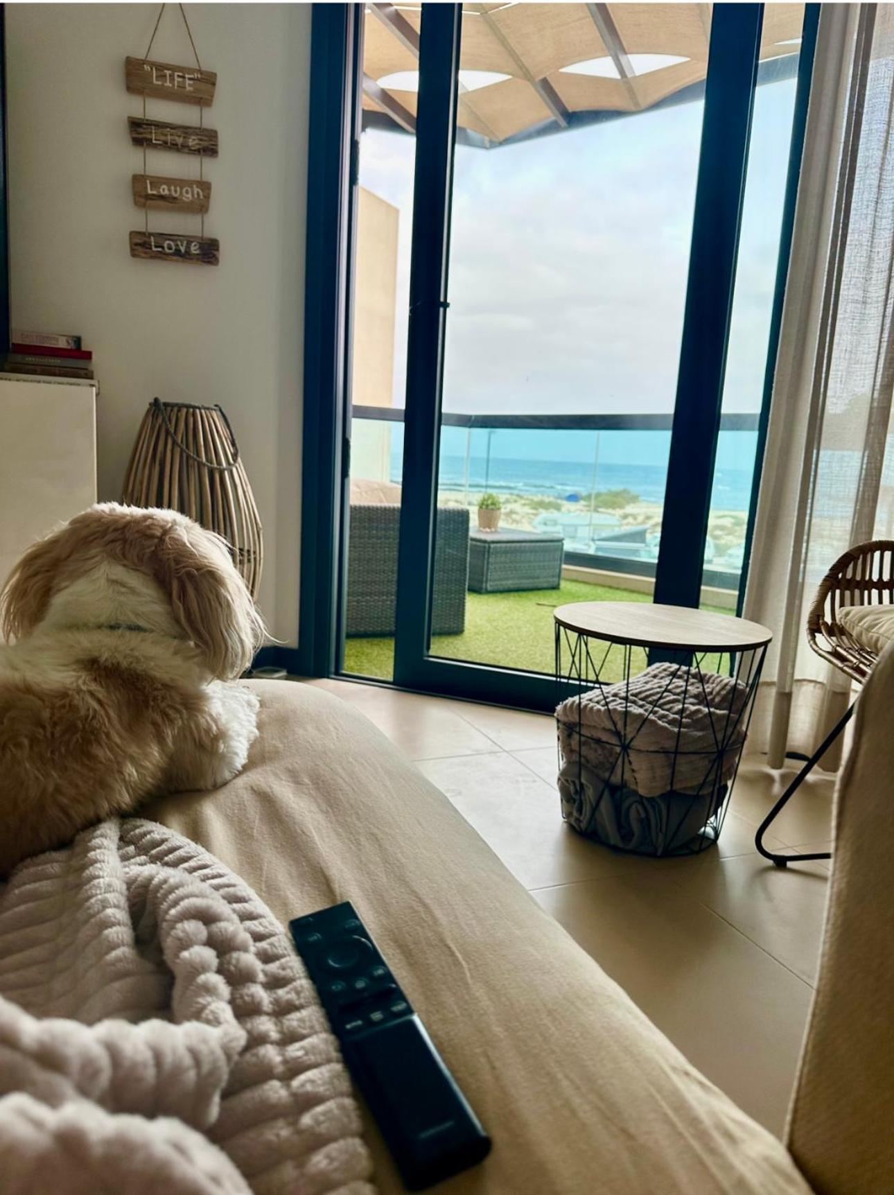Bruno Con Vistas Al Mar, Primera Linea De Playa Apartment *